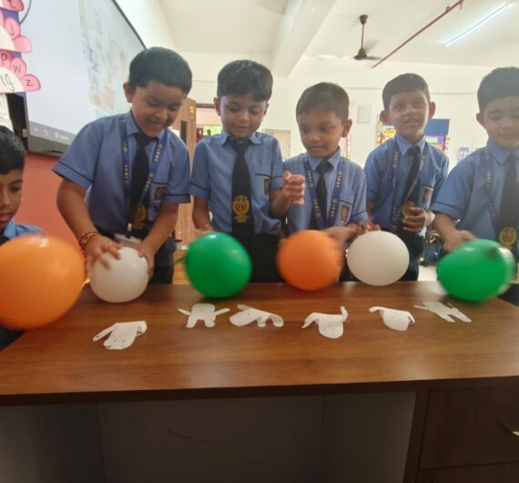 ings_Independence Day Activity