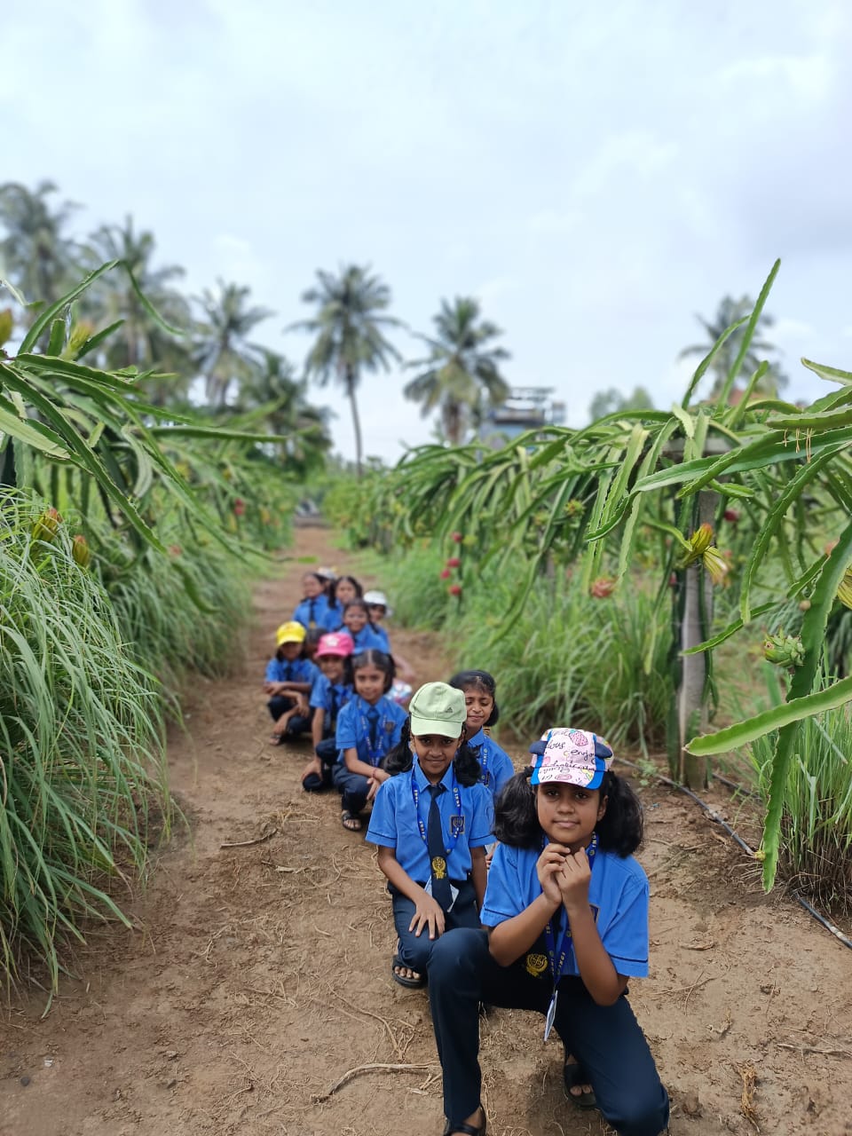 ings_Field Trip- Dragon Farm.